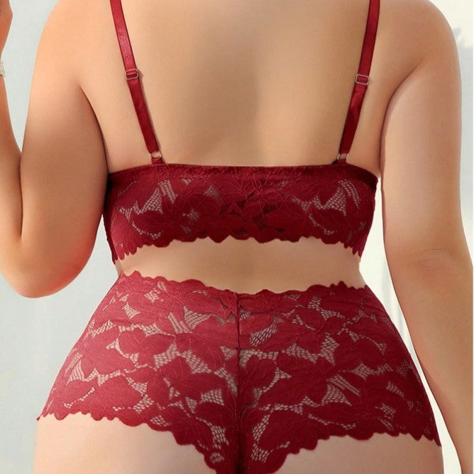 Lace Figure-hugging Bra Set With A Sheer Designseductive Sleepwear And Lingerie